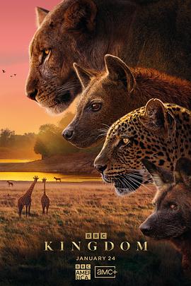 动物王国2025国语(全集)